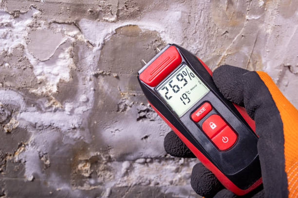 Best Mold Remediation  in Kenai, AK