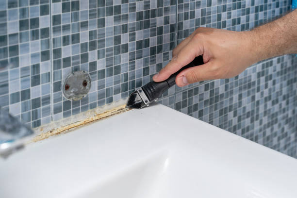 Best Same-Day Mold Removal  in Kenai, AK